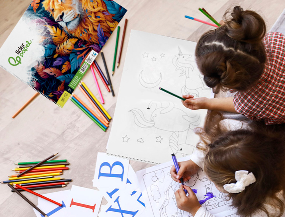 BLOC DIBUJO LIDERPAPEL ARTISTICO ESPIRAL 460X325MM 20 HOJAS 180GR/M2 SIN RECUADRO PERFORADO